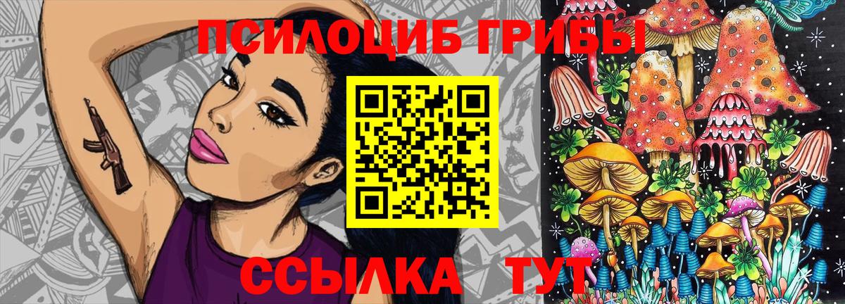 Псилоцибиновые грибы мухоморы Лабинск