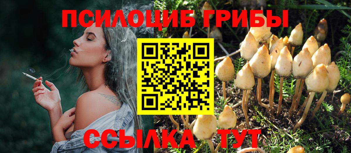 Псилоцибиновые грибы Magic Shrooms  Вход с VPN  Лабинск 